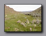 Click to enlarge 816 shelr bpk 13062005 stream end wh valley.jpg